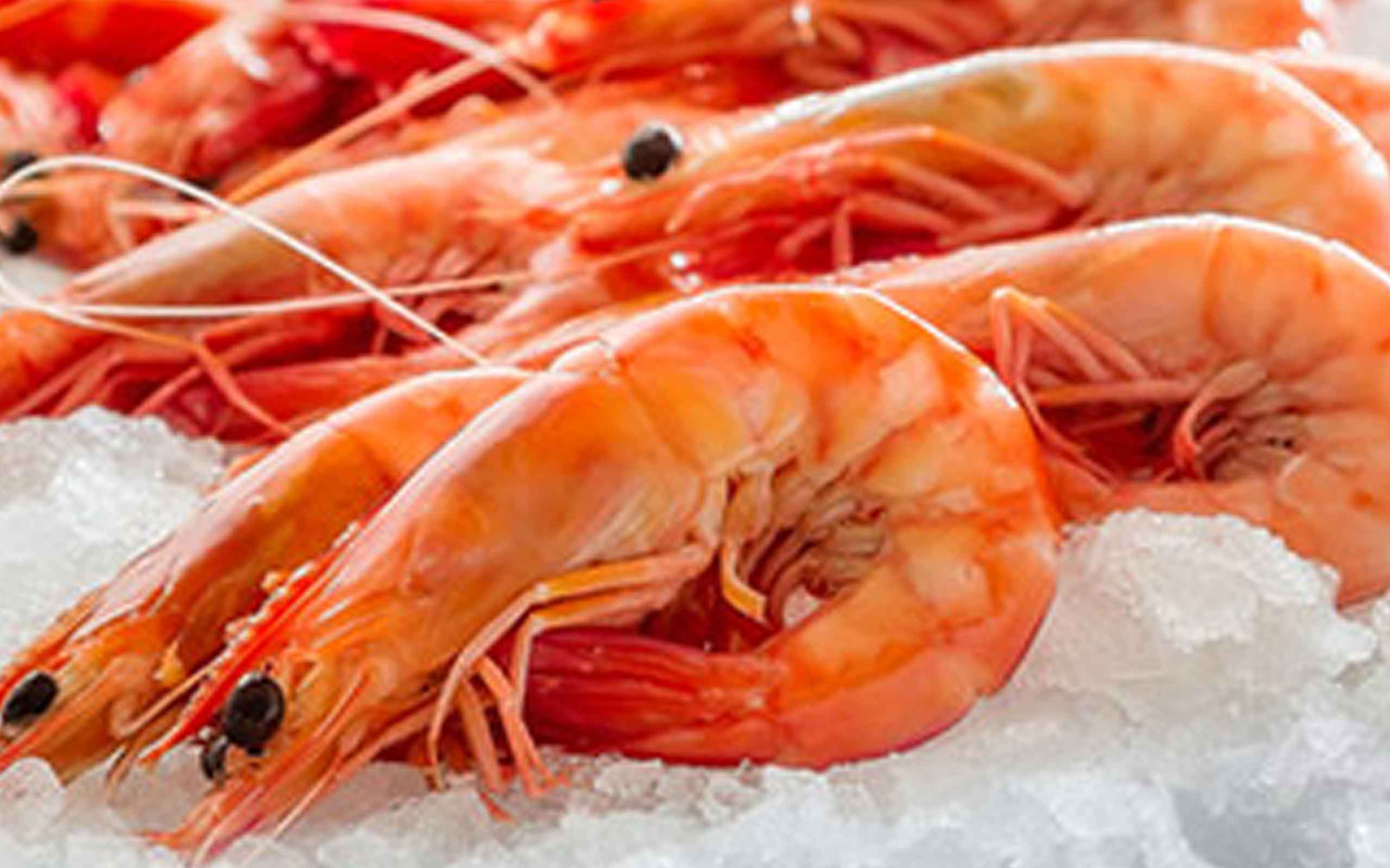 FROZEN FOOD